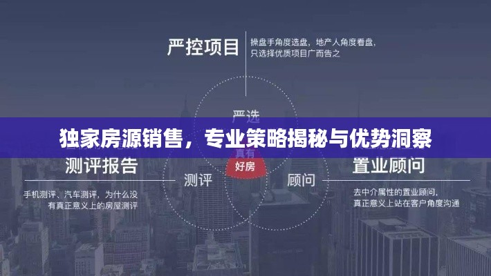 独家房源销售，专业策略揭秘与优势洞察