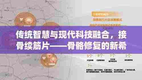 传统智慧与现代科技融合，接骨续筋片——骨骼修复的新希望