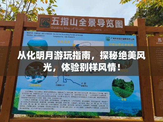 从化明月游玩指南，探秘绝美风光，体验别样风情！