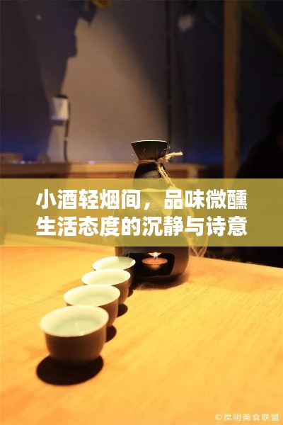 小酒轻烟间，品味微醺生活态度的沉静与诗意
