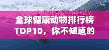 全球健康动物排行榜TOP10，你不知道的神奇生物！