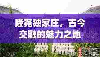 隆尧独家庄，古今交融的魅力之地