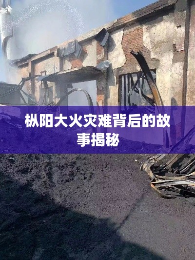 枞阳大火灾难背后的故事揭秘