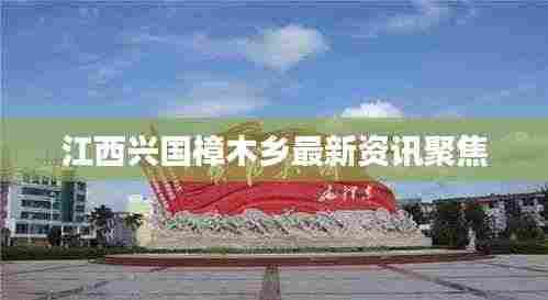 东张西望 第3页