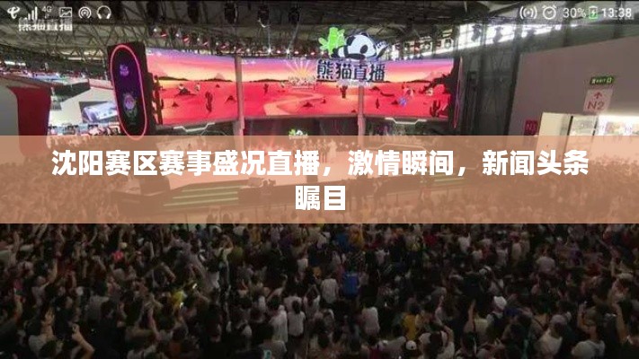 沈阳赛区赛事盛况直播，激情瞬间，新闻头条瞩目