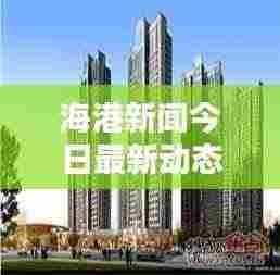 海港新闻今日最新动态速递