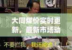 大同煤价实时更新，最新市场动态揭秘