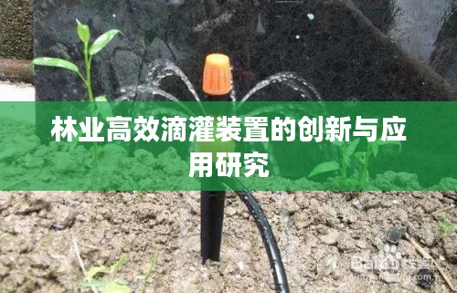 林业高效滴灌装置的创新与应用研究