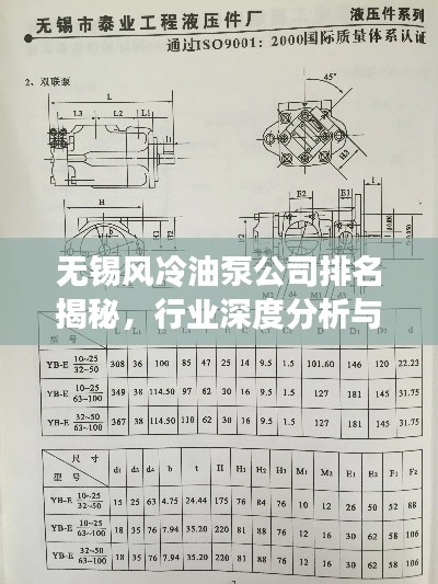 无锡风冷油泵公司排名揭秘，行业深度分析与趋势解读