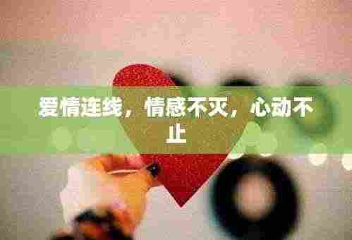 爱情连线，情感不灭，心动不止