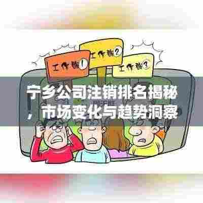 宁乡公司注销排名揭秘，市场变化与趋势洞察