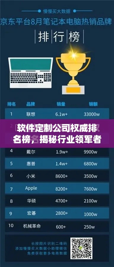 软件定制公司权威排名榜，揭秘行业领军者的秘密！