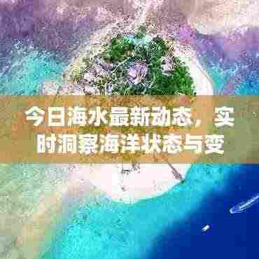 今日海水最新动态，实时洞察海洋状态与变化