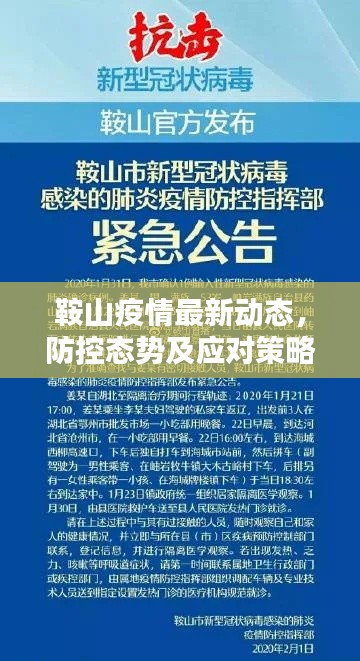 鞍山疫情最新动态，防控态势及应对策略揭秘