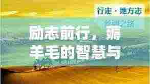 励志前行，薅羊毛的智慧与行动